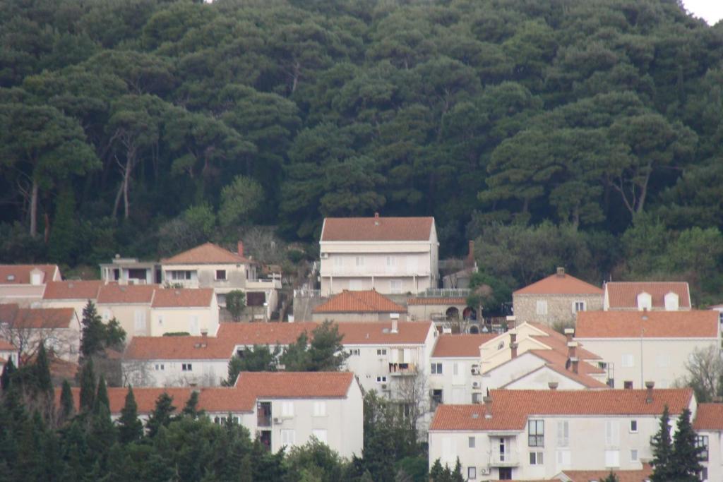 Apartments Lile Dubrovnik Exterior foto